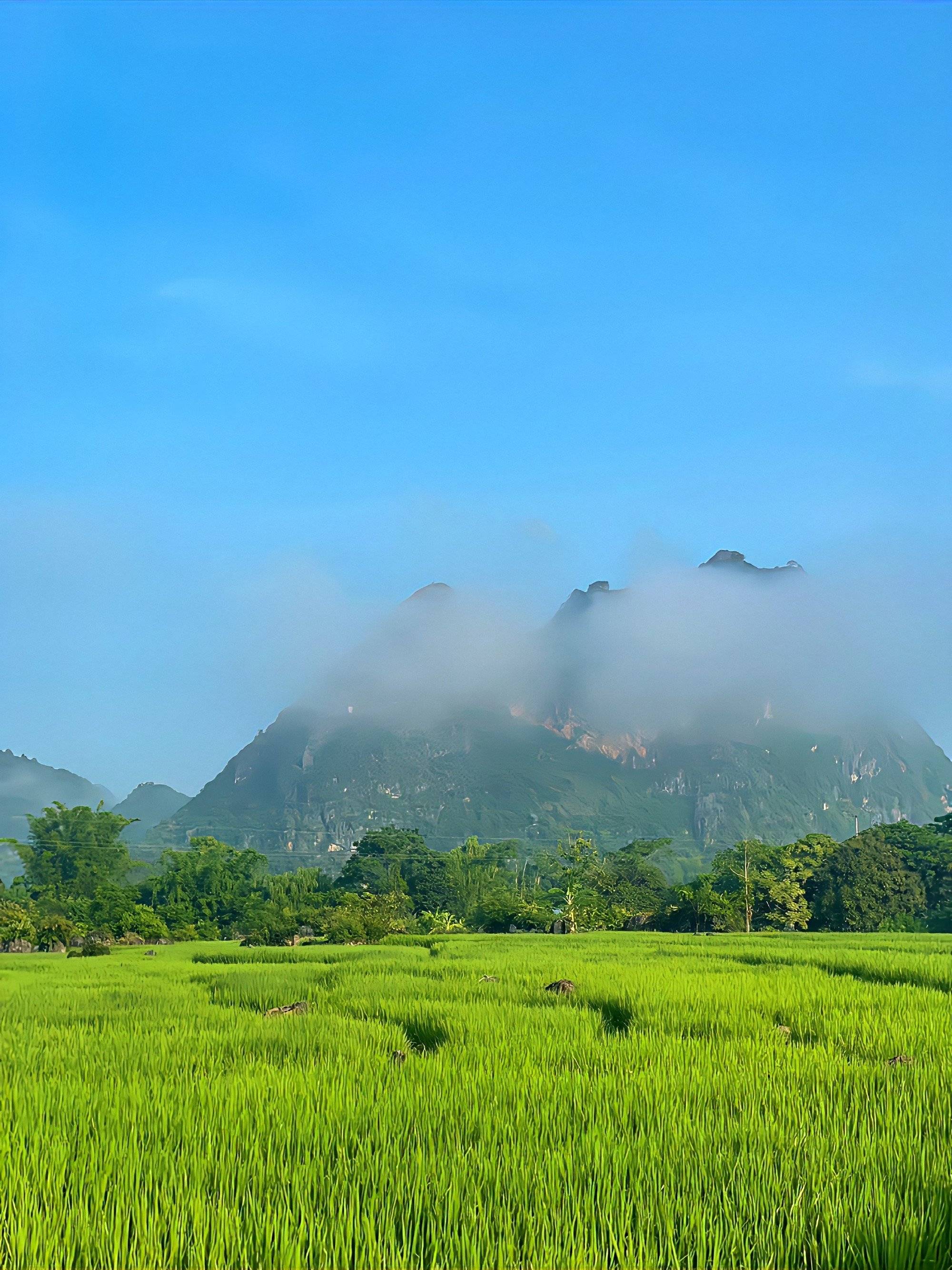 开云APP-关于赛地聚焦——德国杯赛后热度飙升，马赛内部沟通，目标明确，资深球员宣示担当的信息-开云APP